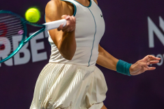 SF-Ana-Bogdan-Jaqueline-Cristian-TOpen-9