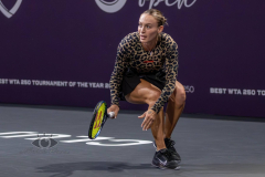 Transylvania-Open-2024-Ana-Bogdan-vs-Parks-Foto-Mihai-Rusu-8